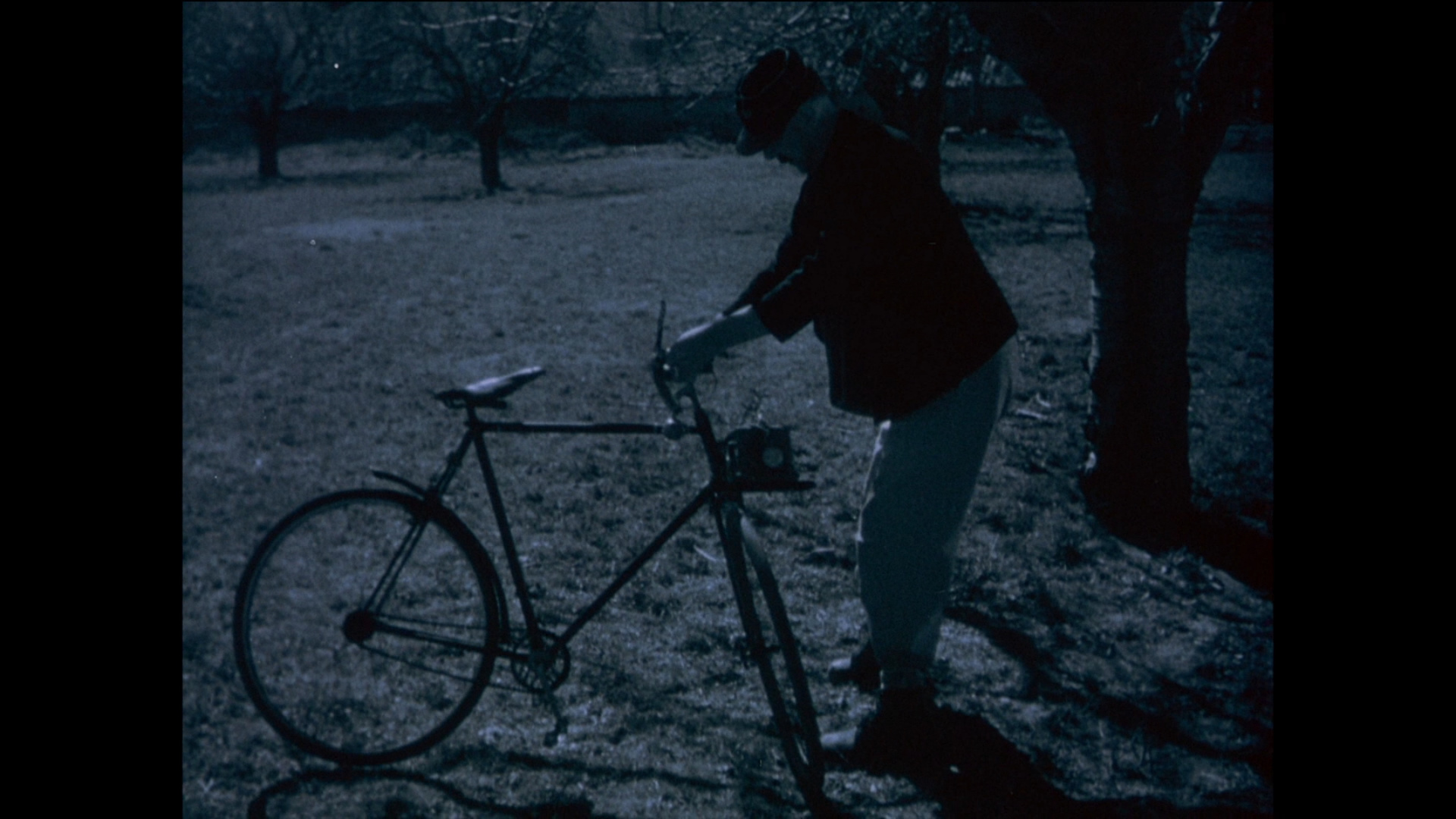 节日剧照的剧照