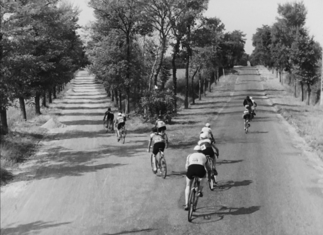 节日剧照的剧照