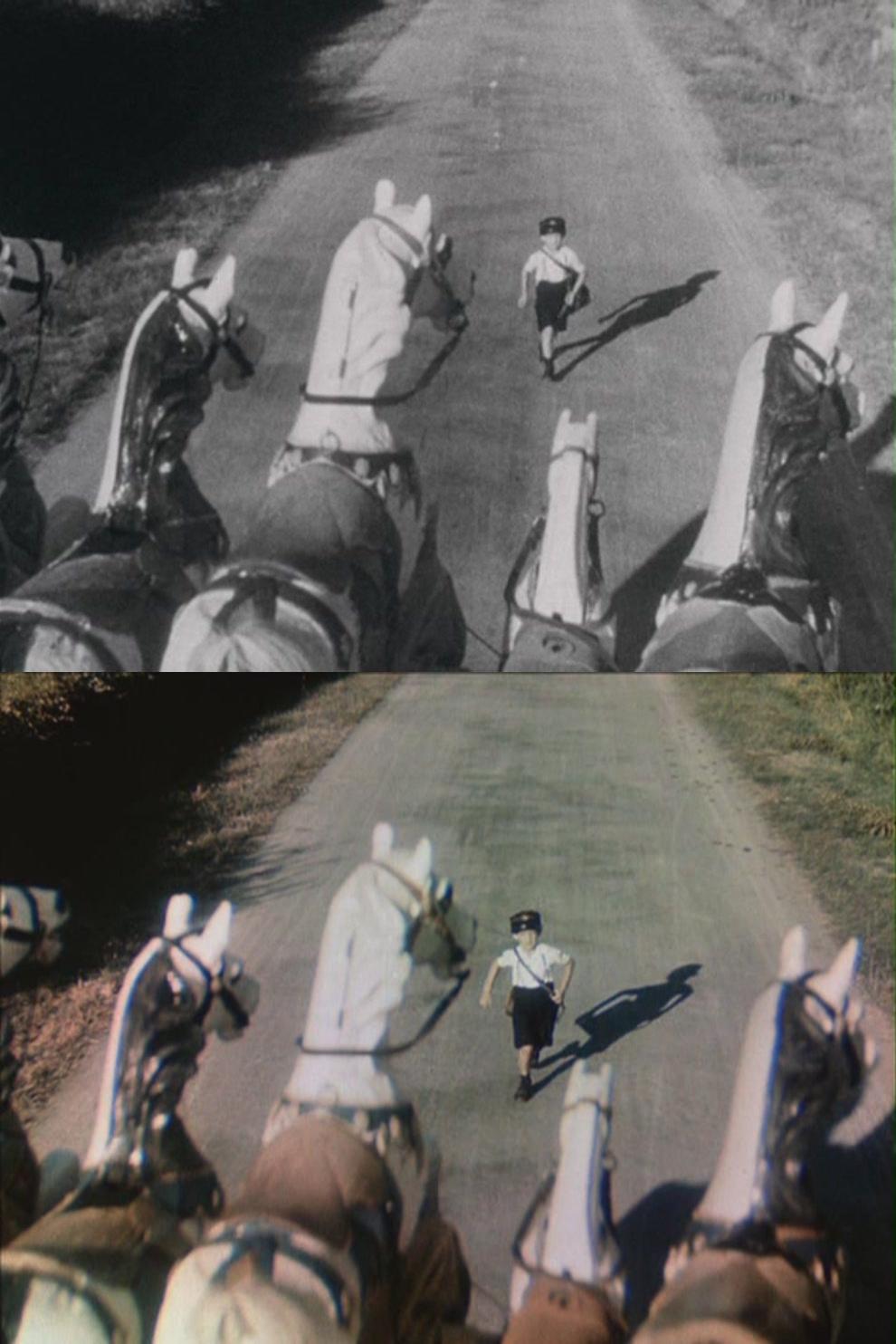 节日剧照的剧照