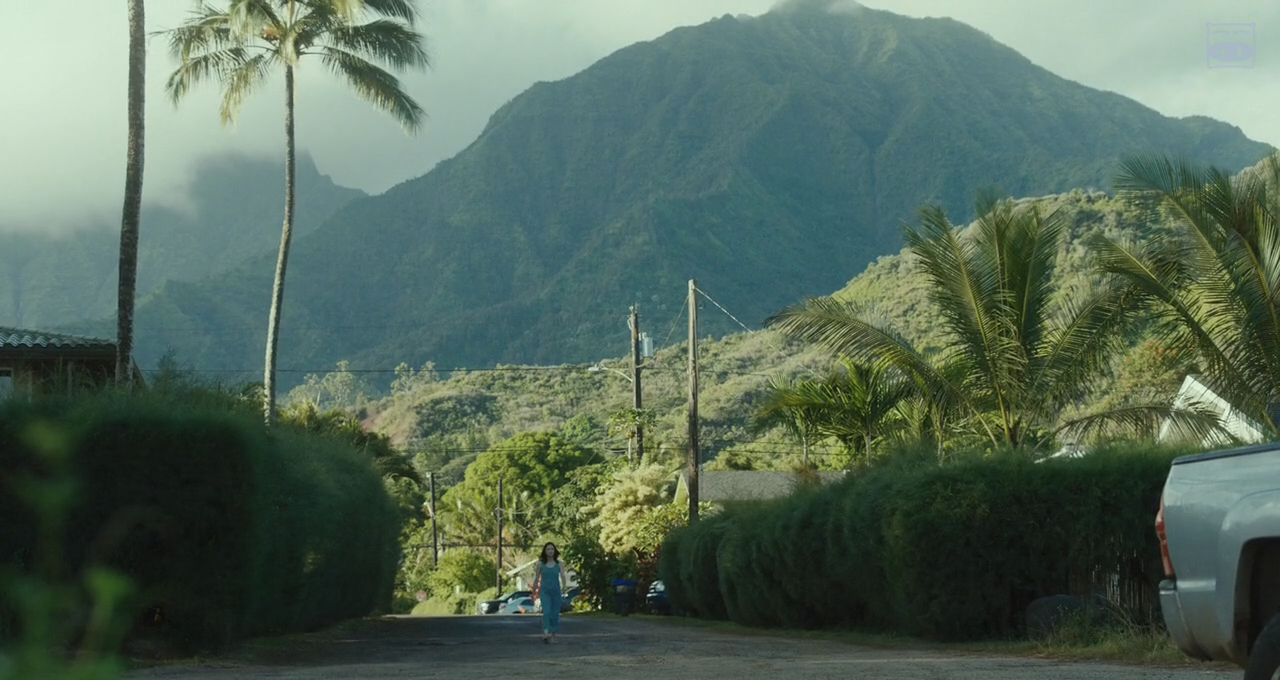 哈纳莱伊湾剧照的剧照