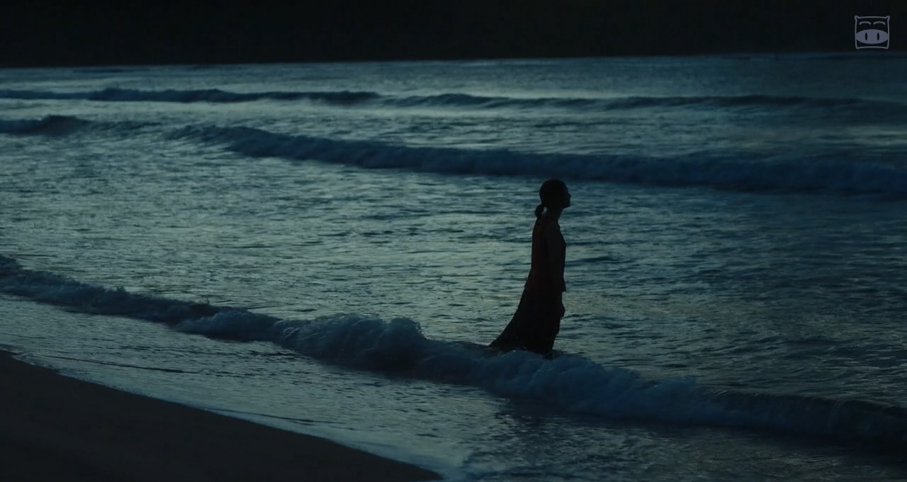 哈纳莱伊湾剧照的剧照