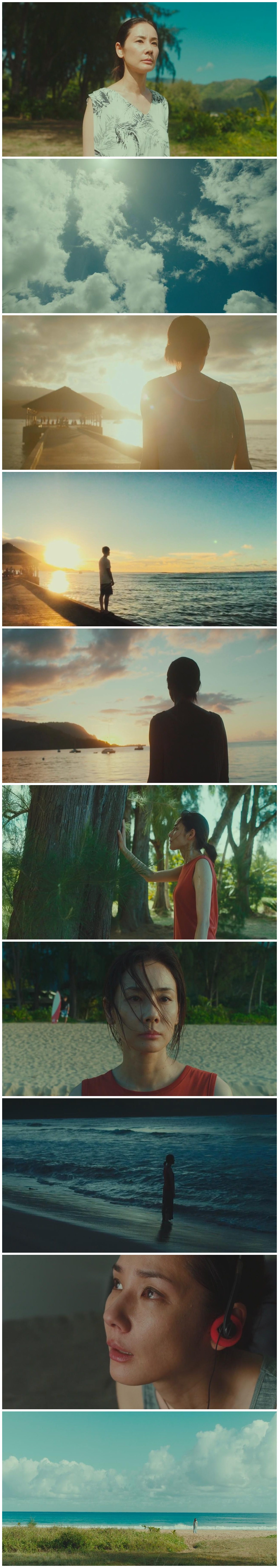 哈纳莱伊湾剧照的剧照