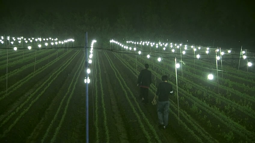 父后七日剧照的剧照