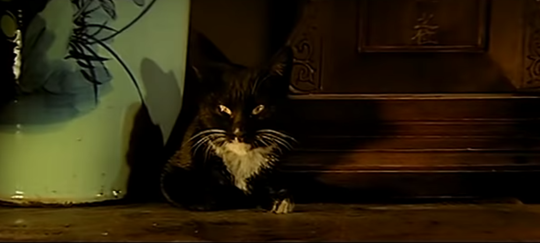 原野剧照的剧照