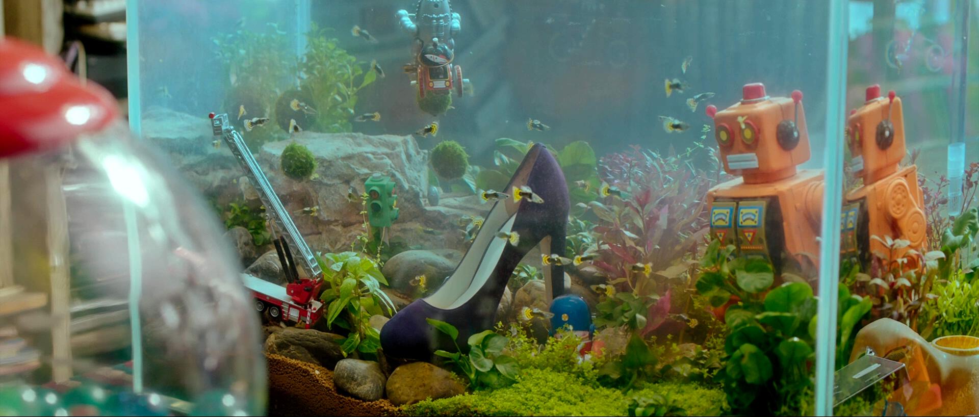 以青春的名义剧照的剧照