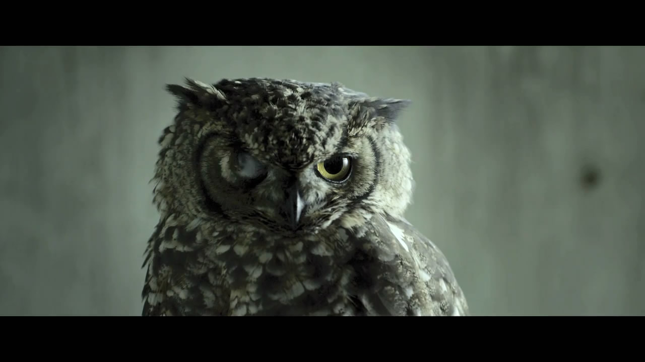 黑暗的森林 2剧照的剧照