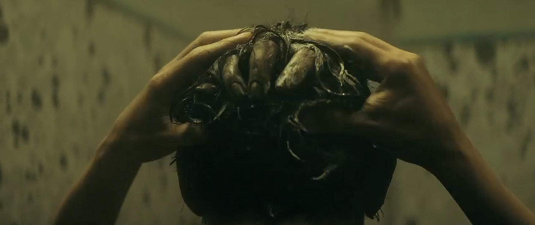 新咒怨(美版)剧照的剧照