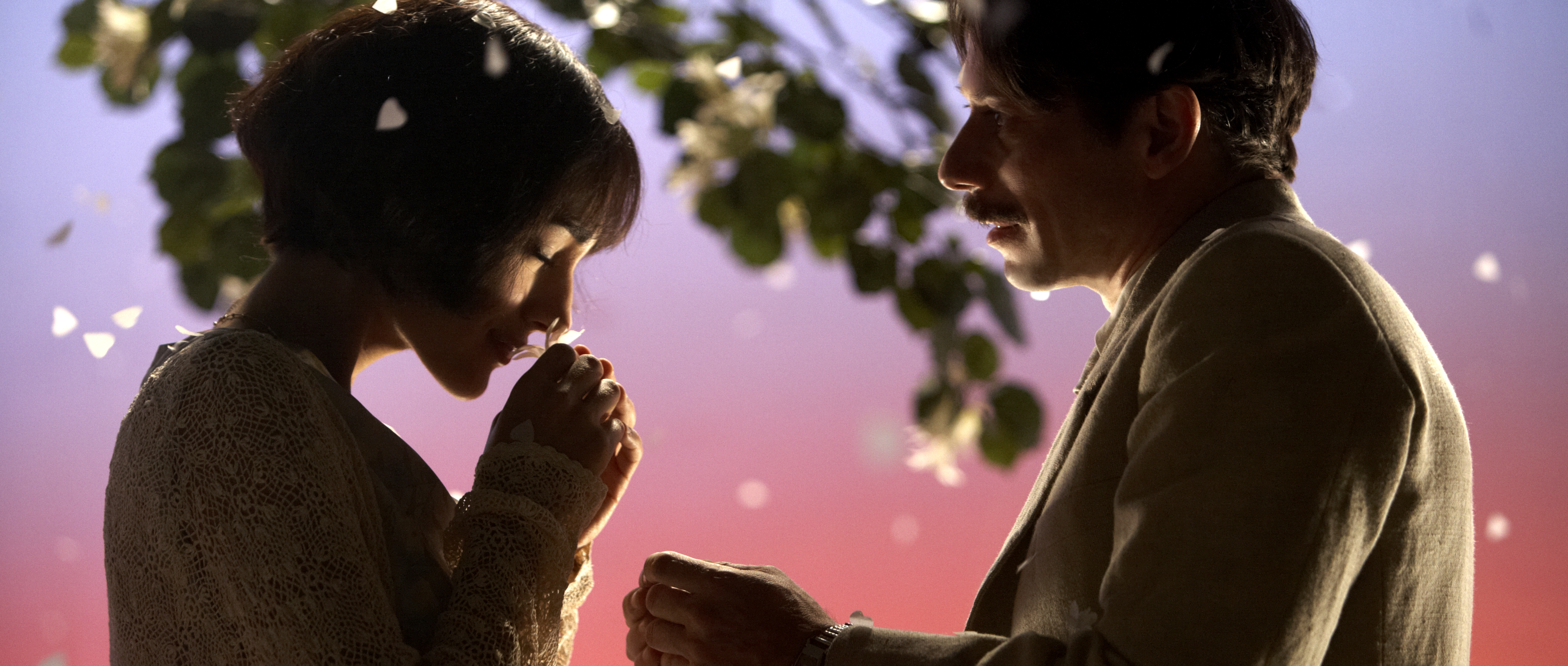 梅子鸡之味剧照的剧照