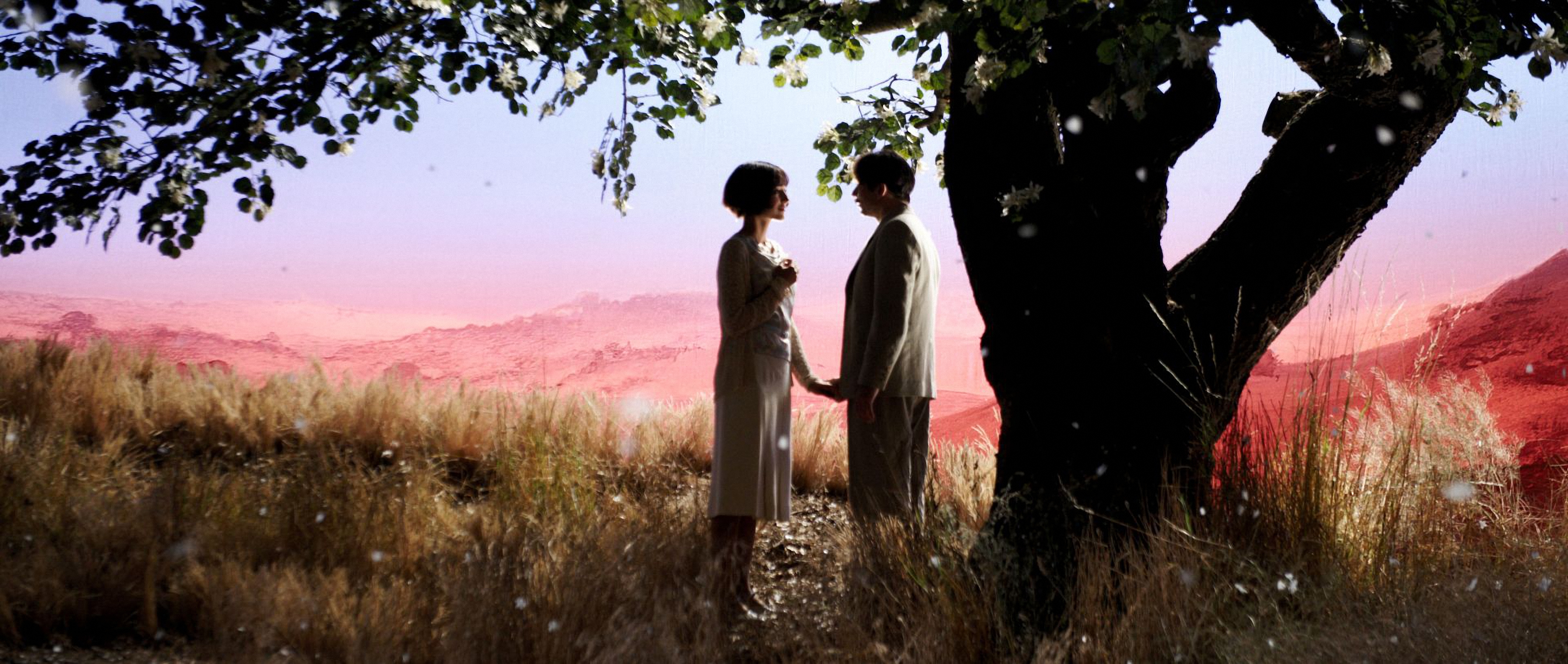 梅子鸡之味剧照的剧照