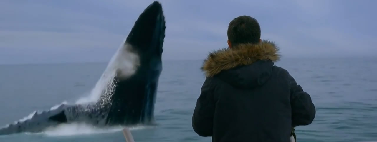 只有芸知道剧照的剧照