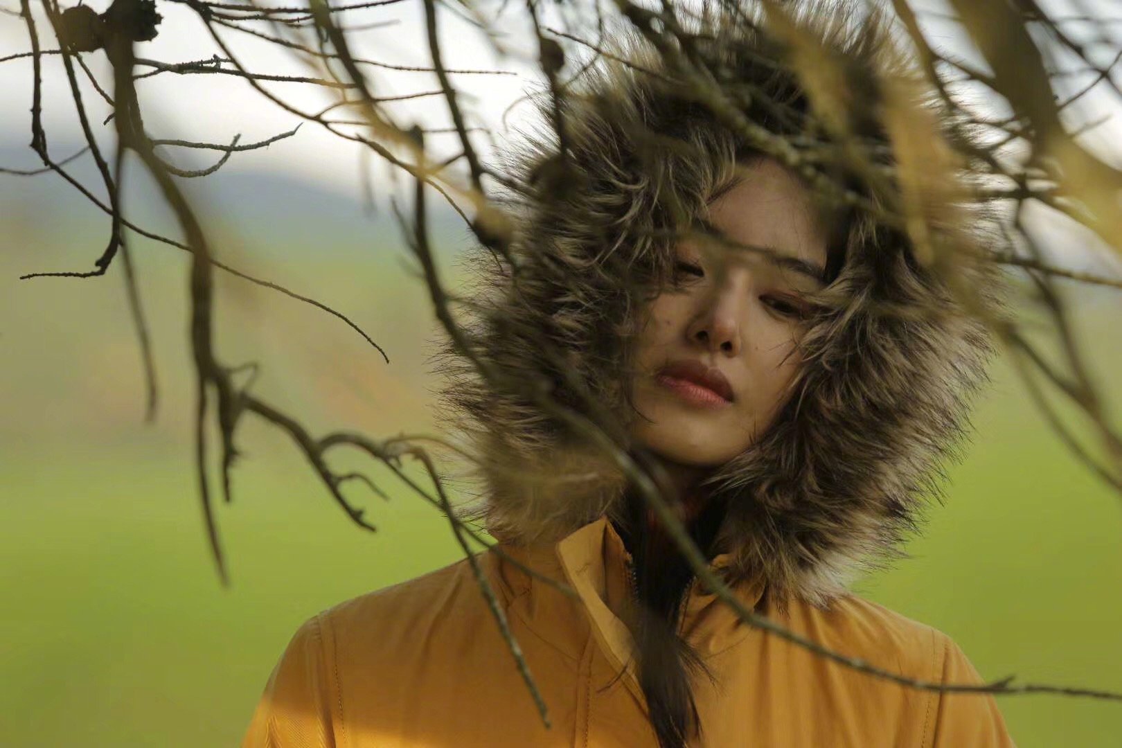 只有芸知道剧照的剧照