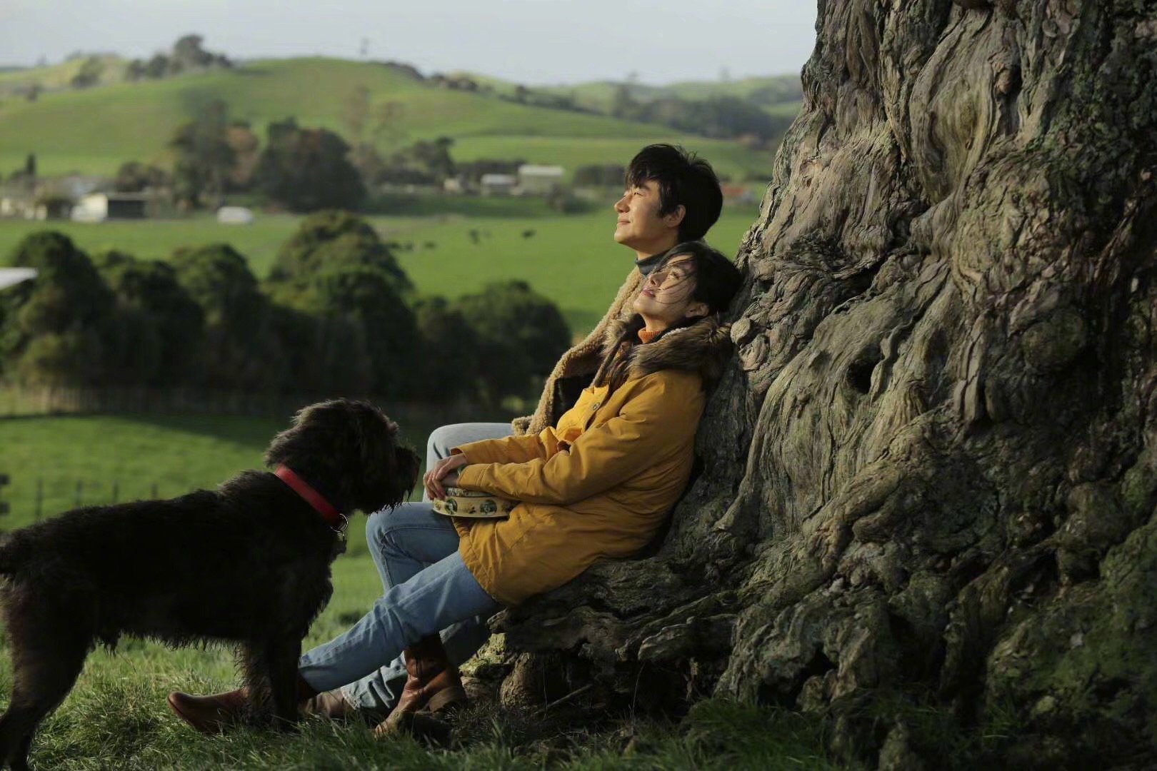 只有芸知道剧照的剧照