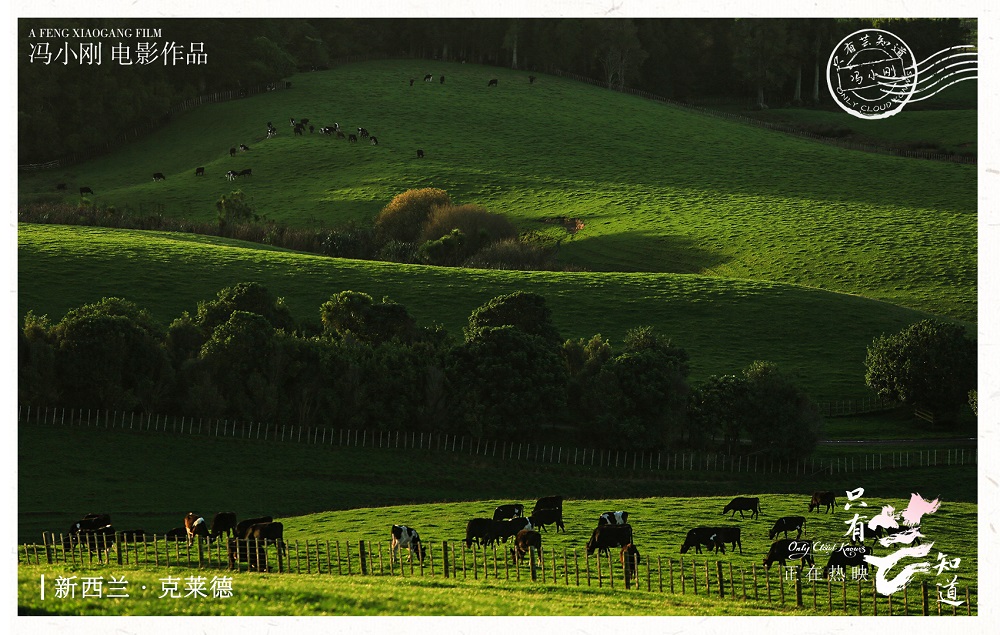 只有芸知道剧照的剧照