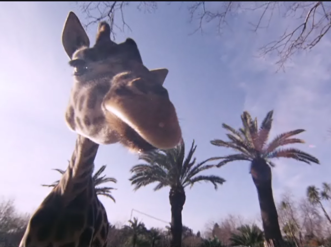 浮士德医生奇谭剧照的剧照