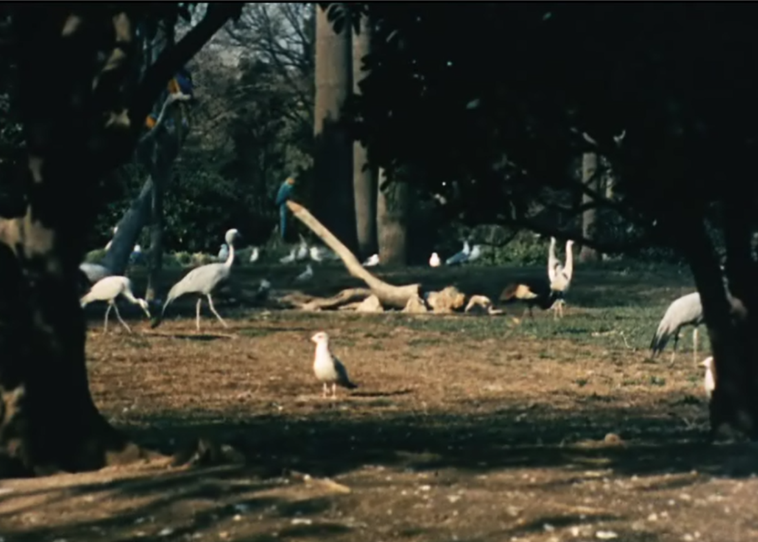 浮士德医生奇谭剧照的剧照