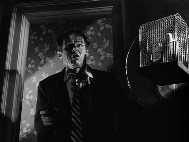 杀手剧照的剧照