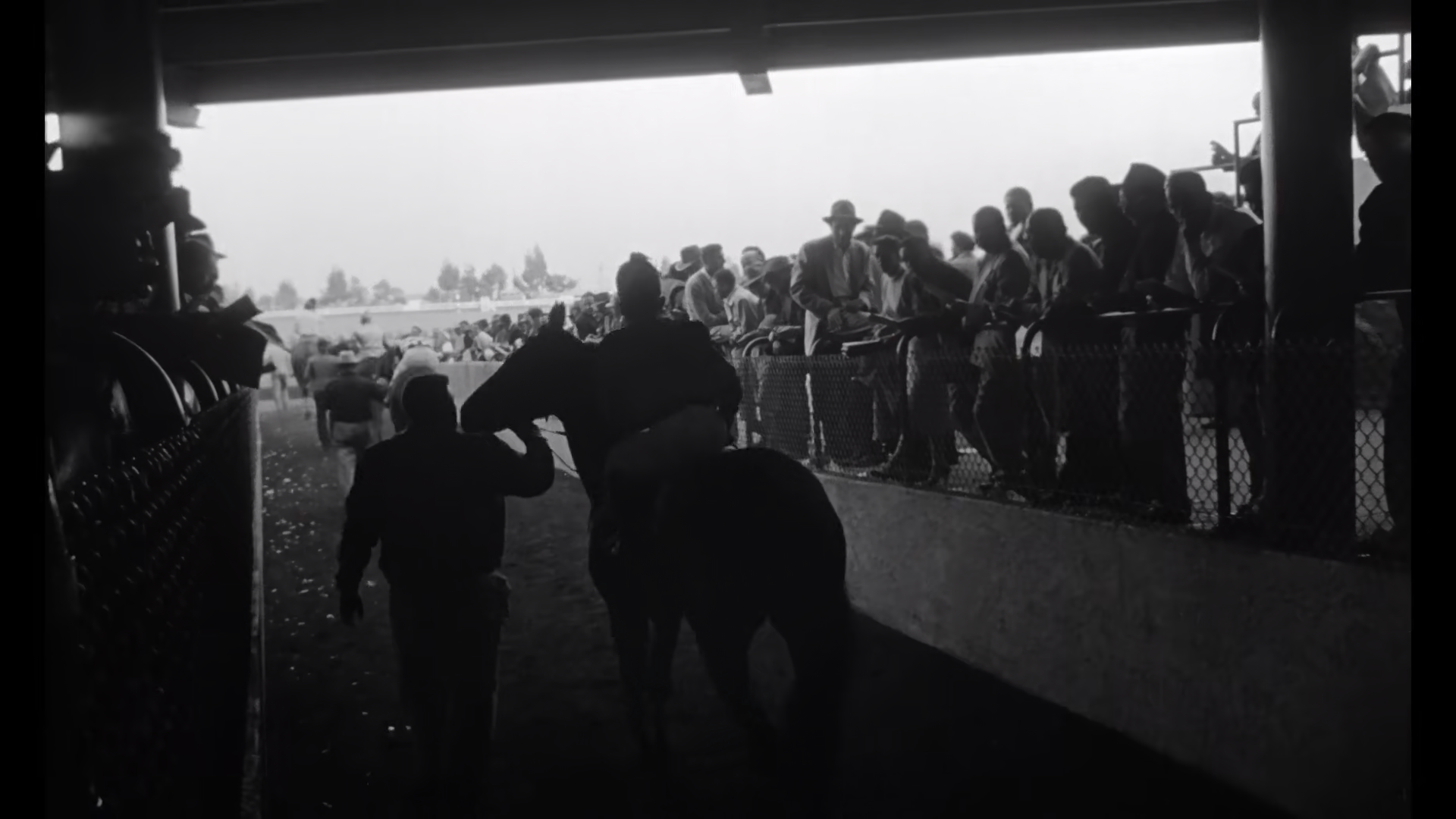 杀手剧照的剧照