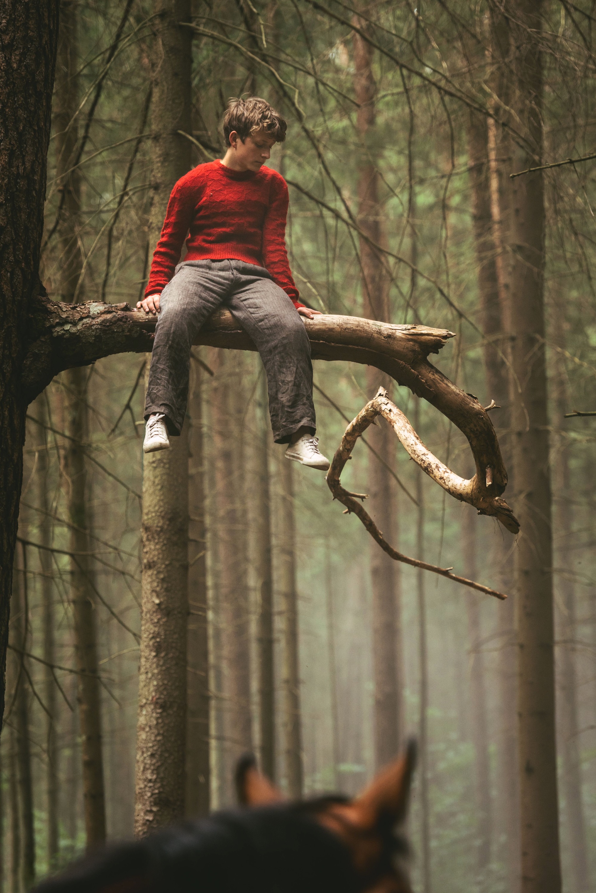 外出偷马剧照的剧照