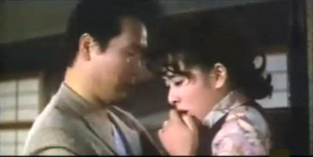 寅次郎的故事4：好梦成空剧照的剧照