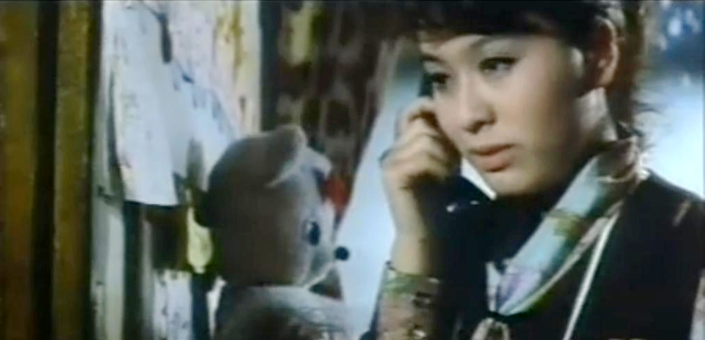 寅次郎的故事4：好梦成空剧照的剧照