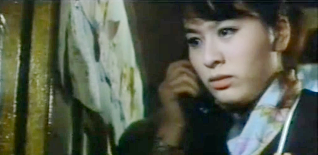 寅次郎的故事4：好梦成空剧照的剧照