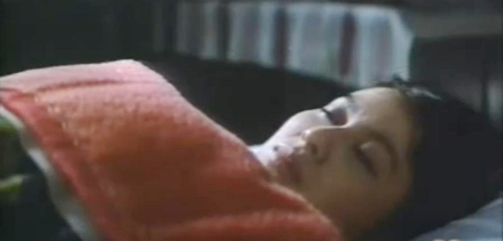 寅次郎的故事4：好梦成空剧照的剧照