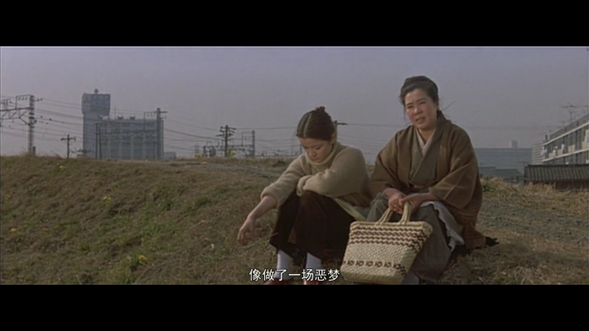 寅次郎的故事4：好梦成空剧照的剧照