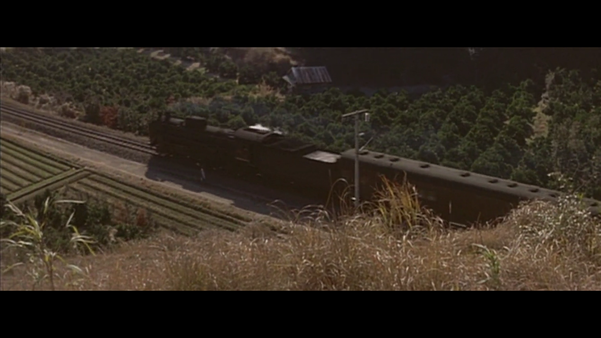 寅次郎的故事4：好梦成空剧照的剧照