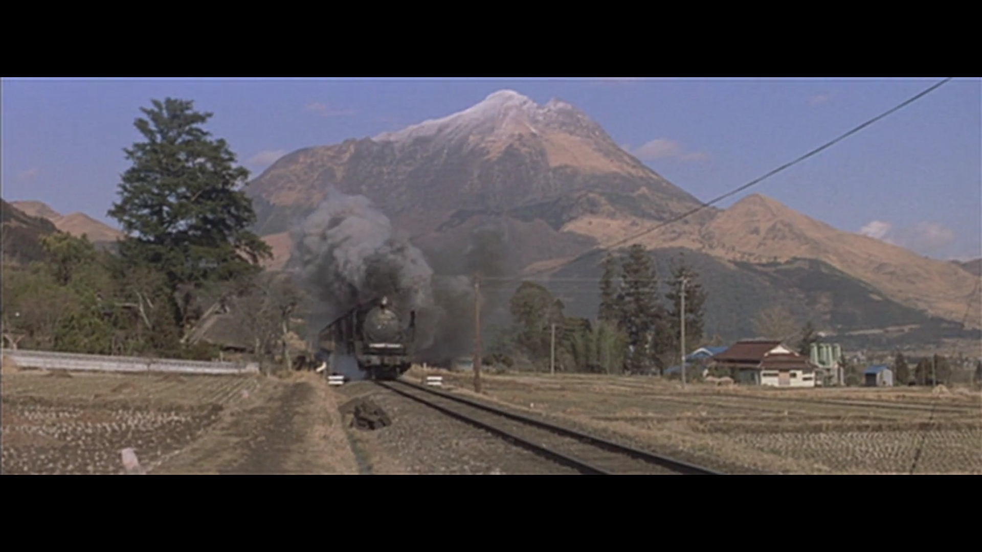 寅次郎的故事4：好梦成空剧照的剧照