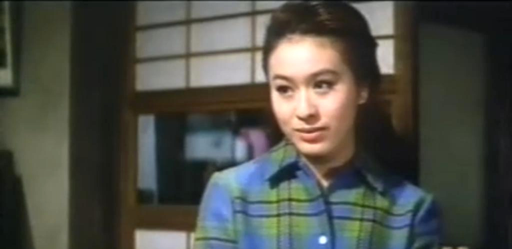 寅次郎的故事4：好梦成空剧照的剧照