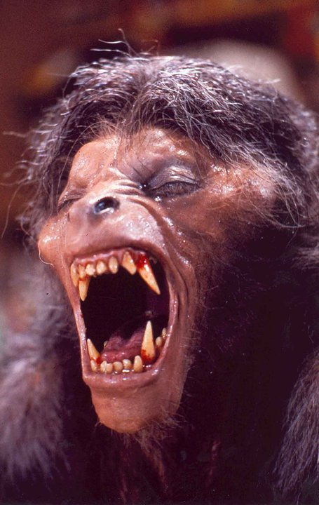 美国狼人在伦敦剧照的剧照