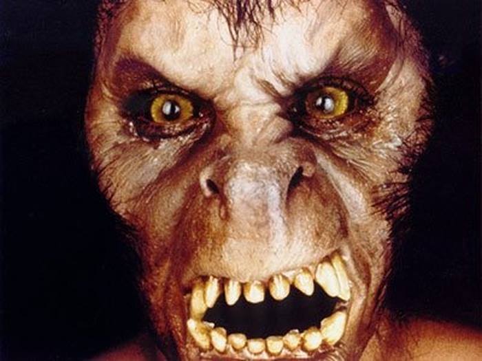 美国狼人在伦敦剧照的剧照