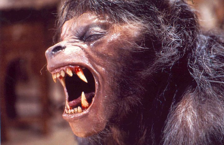 美国狼人在伦敦剧照的剧照