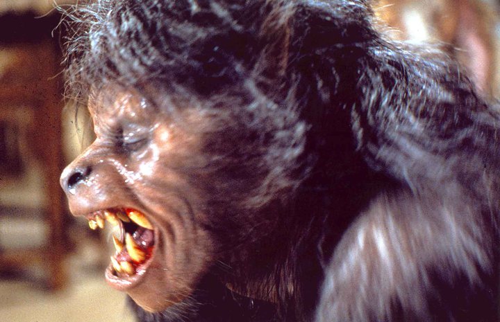 美国狼人在伦敦剧照的剧照