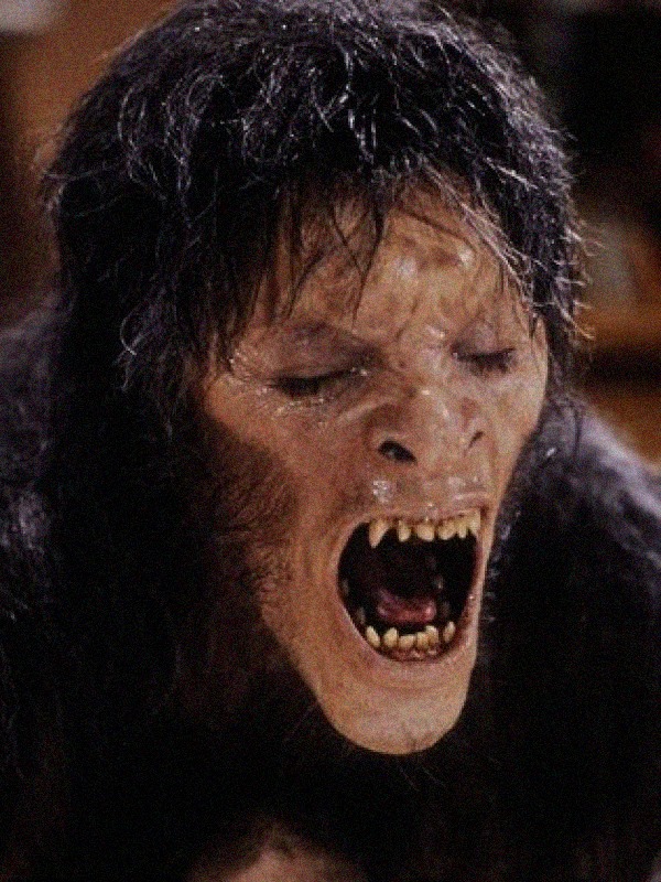 美国狼人在伦敦剧照的剧照