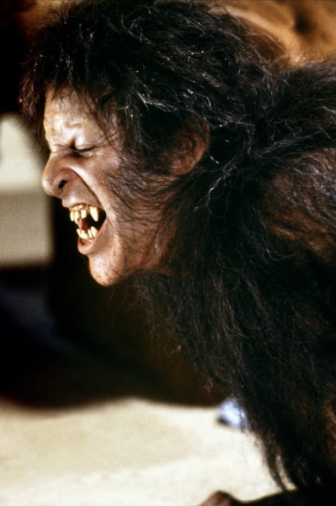 美国狼人在伦敦剧照的剧照