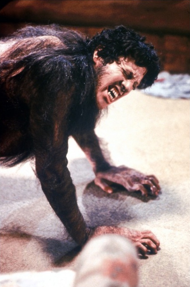 美国狼人在伦敦剧照的剧照