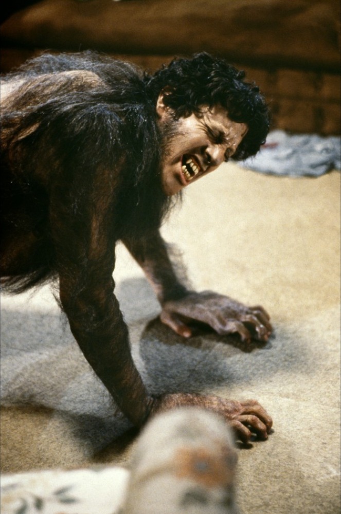 美国狼人在伦敦剧照的剧照