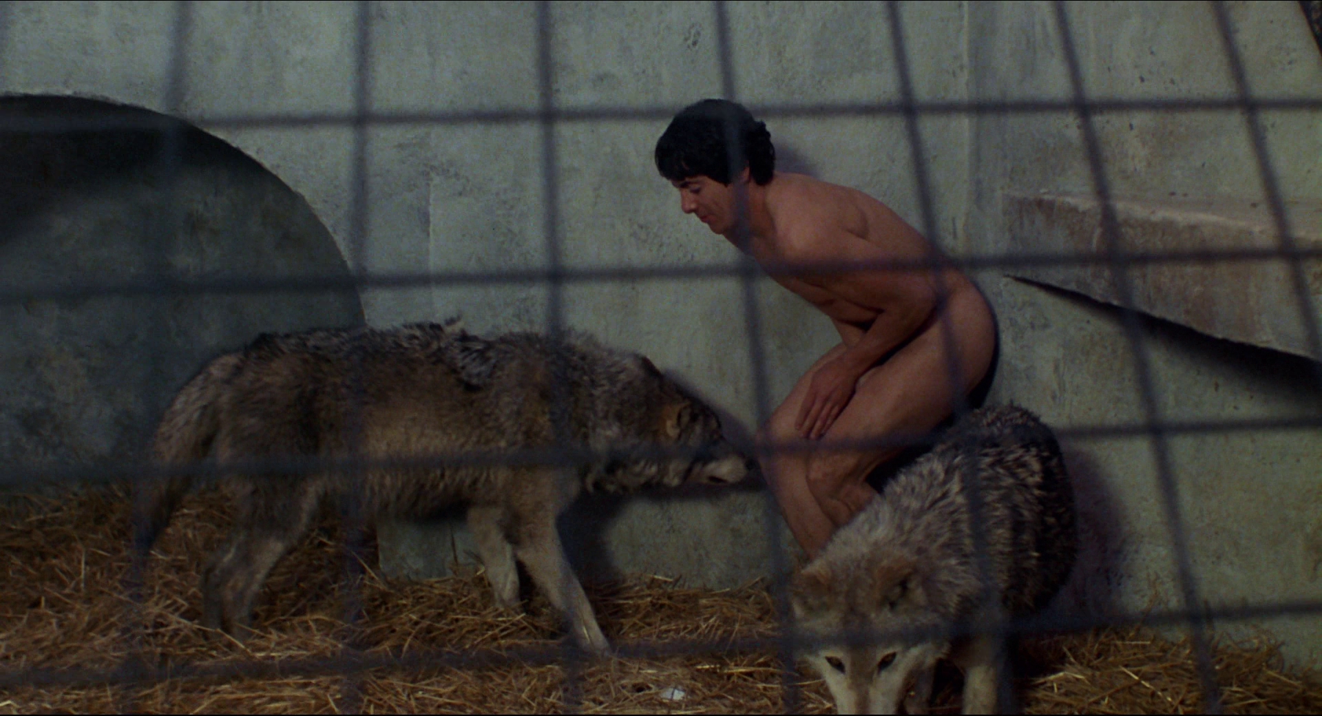 美国狼人在伦敦剧照的剧照