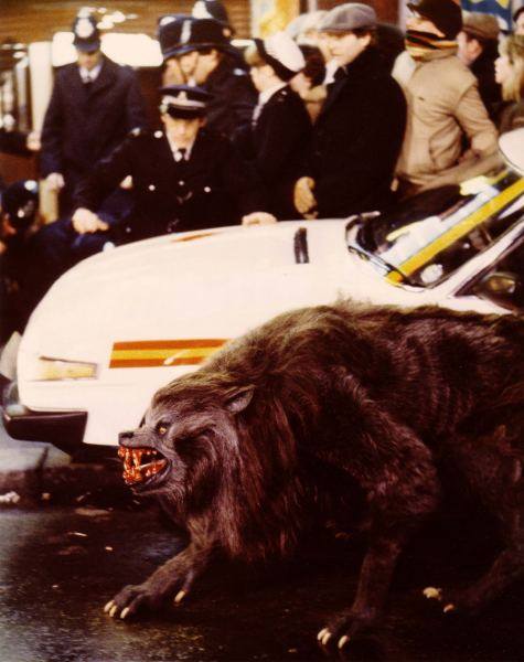 美国狼人在伦敦剧照的剧照