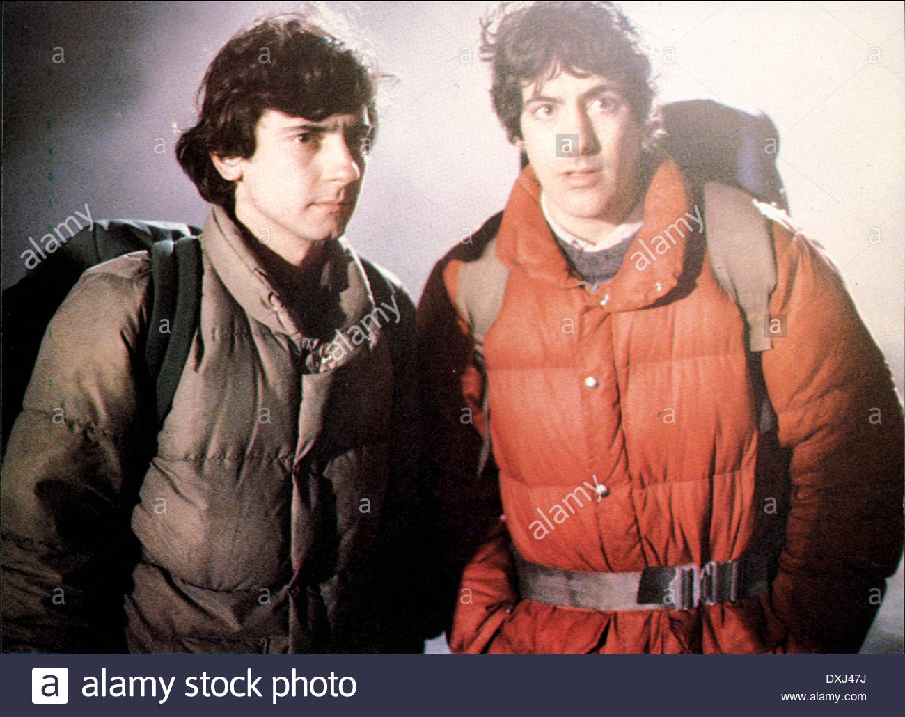 美国狼人在伦敦剧照的剧照