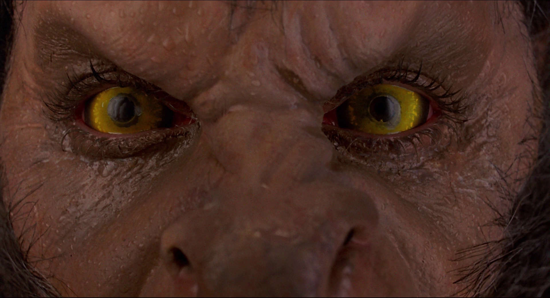 美国狼人在伦敦剧照的剧照