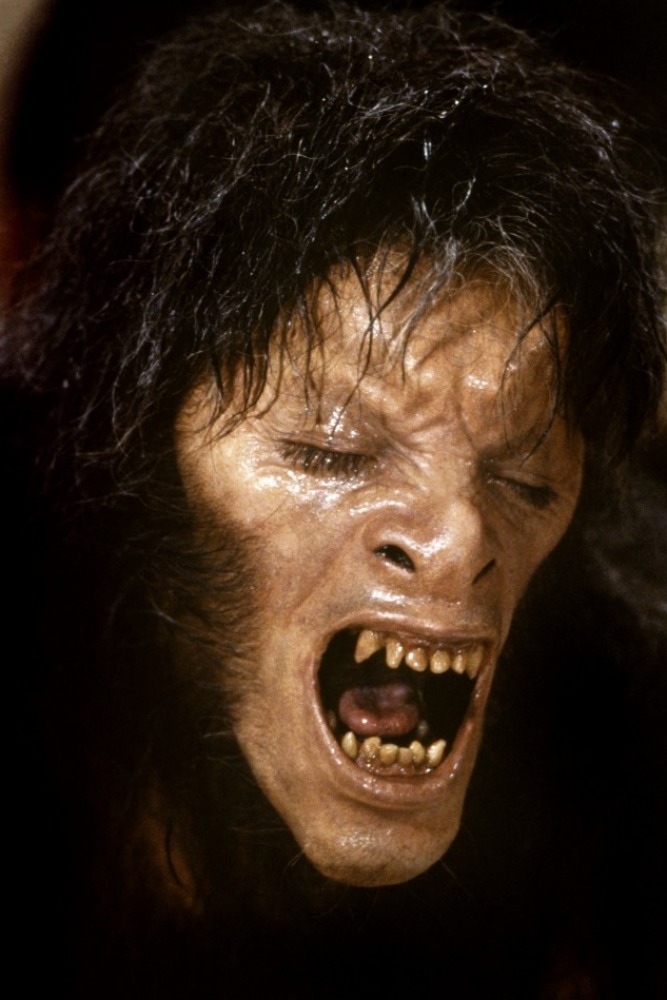 美国狼人在伦敦剧照的剧照