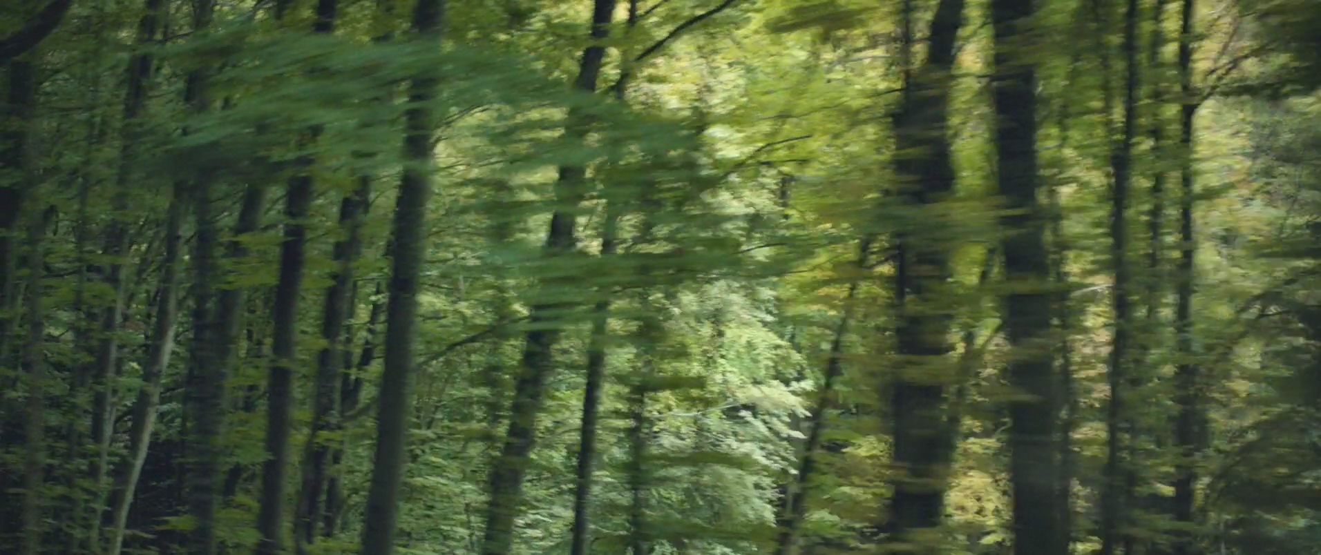 纪念剧照的剧照