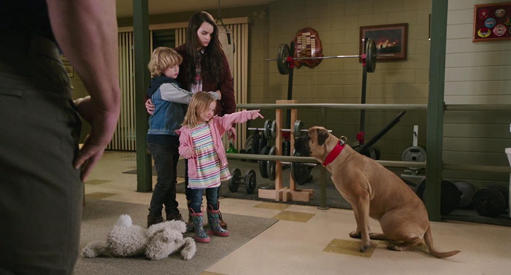 救火奶爸剧照的剧照