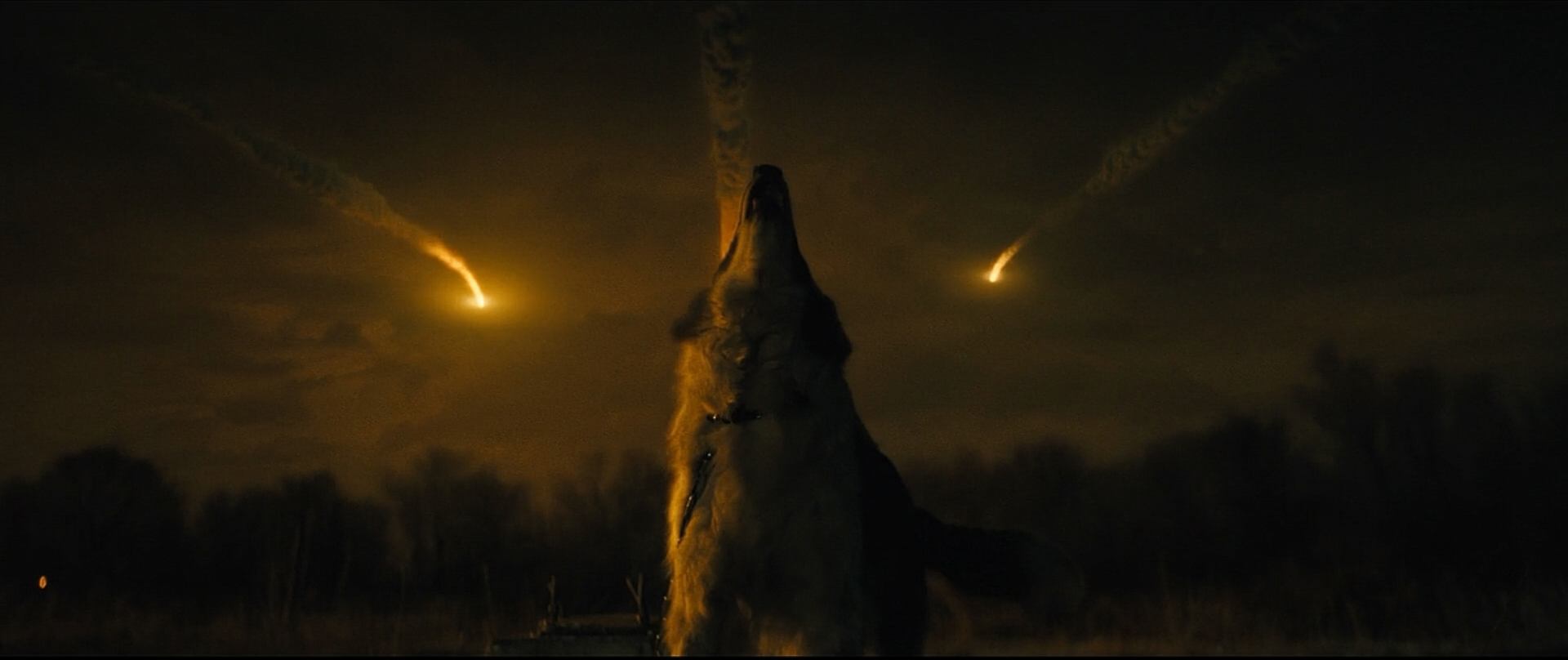 俘虏国度剧照的剧照