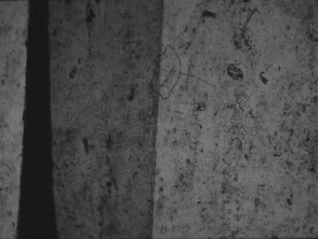 毛片剧照的剧照