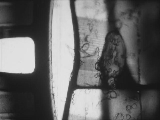 毛片剧照的剧照