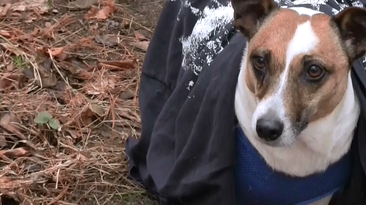 范博纳剧照的剧照