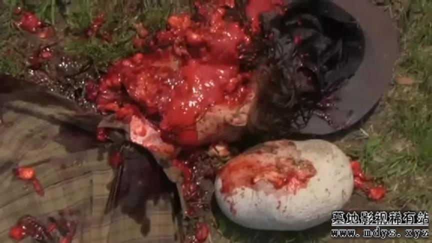 范博纳剧照的剧照